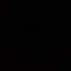 Meet your Posher, Beatriz